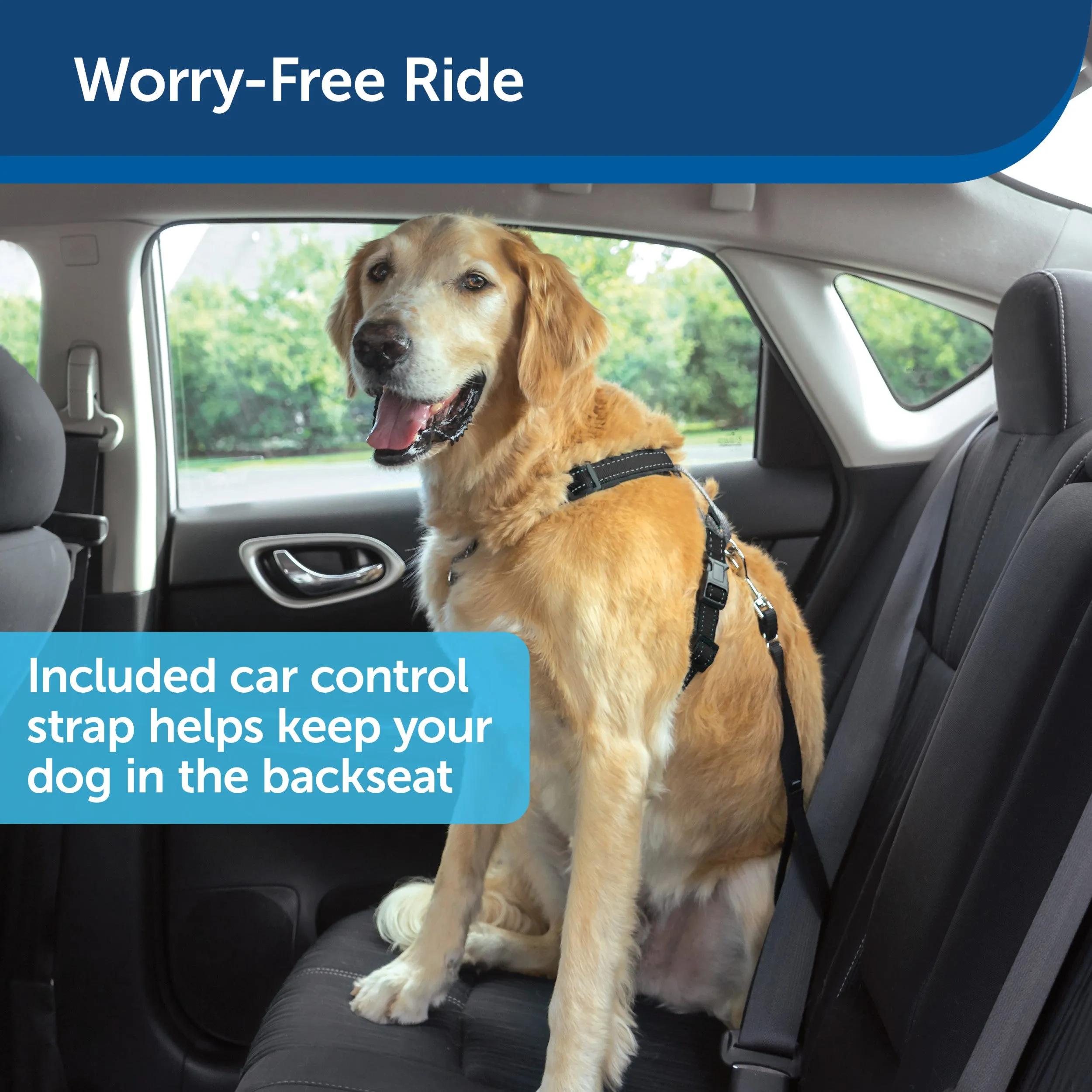 3 in 1 Harness with Two Point Control Leash