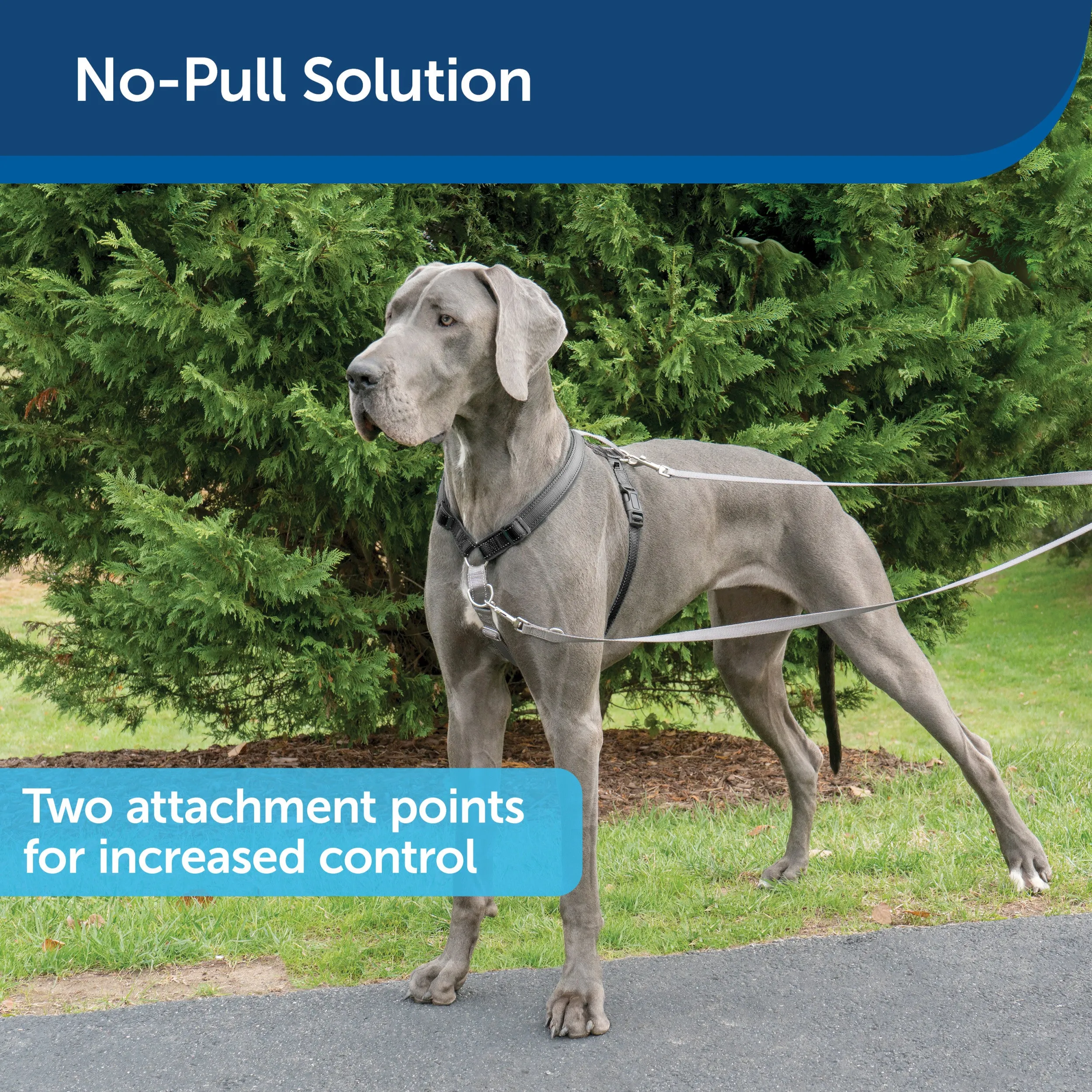 3 in 1 Harness with Two Point Control Leash