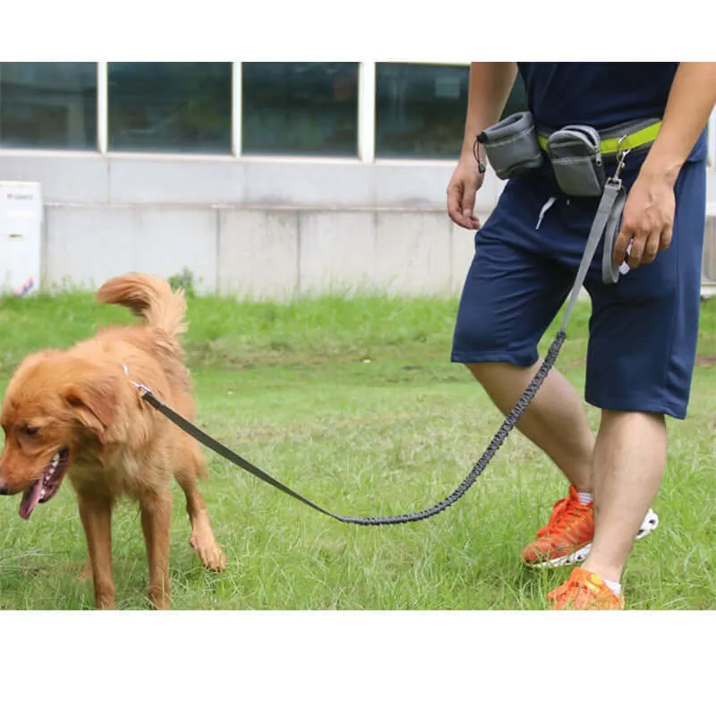 Adjustable Hands-Free Leash