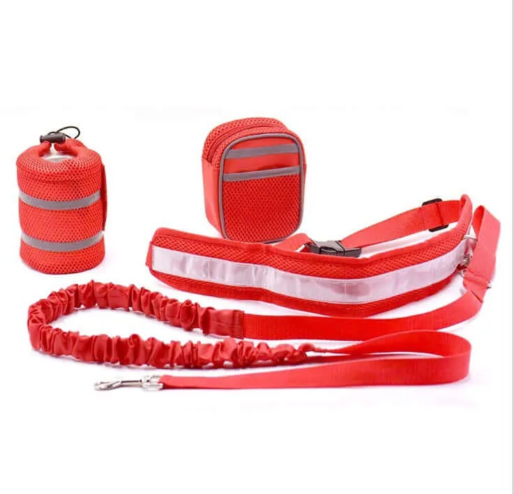 Adjustable Hands-Free Leash