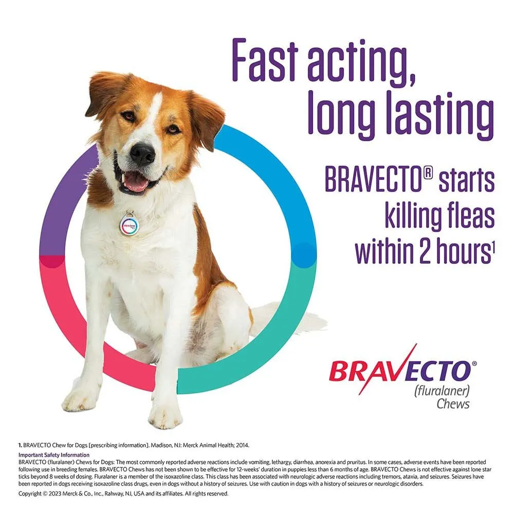 Bravecto (fluralaner) Chews for Dogs, 1 Chew