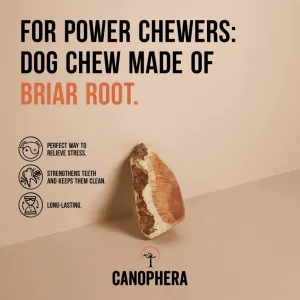 Canophera Briar Root
