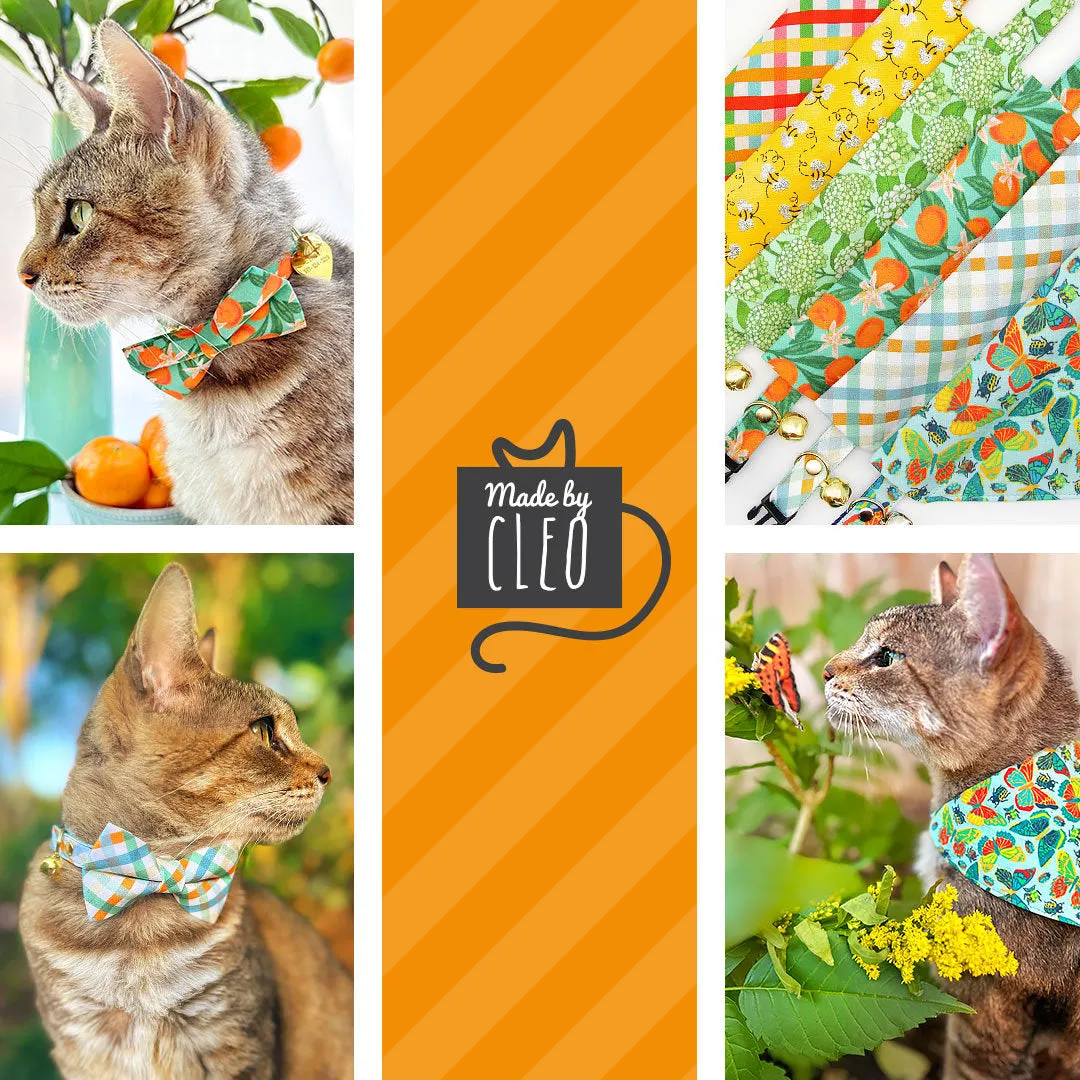 Cat Collar   Flower Set - "Show Me The Honey" - Yellow Bee Cat Collar w/ Yellow Felt Flower (Detachable)