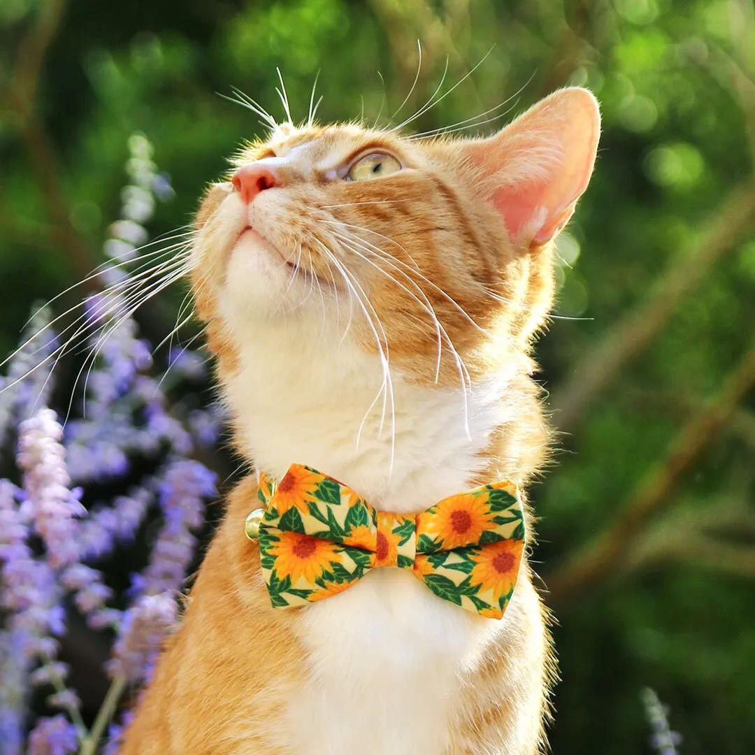 Cat Collar   Flower Set - "Sunflowers" - Yellow Floral Cat Collar w/ Buttercup Yellow Felt Flower (Detachable)