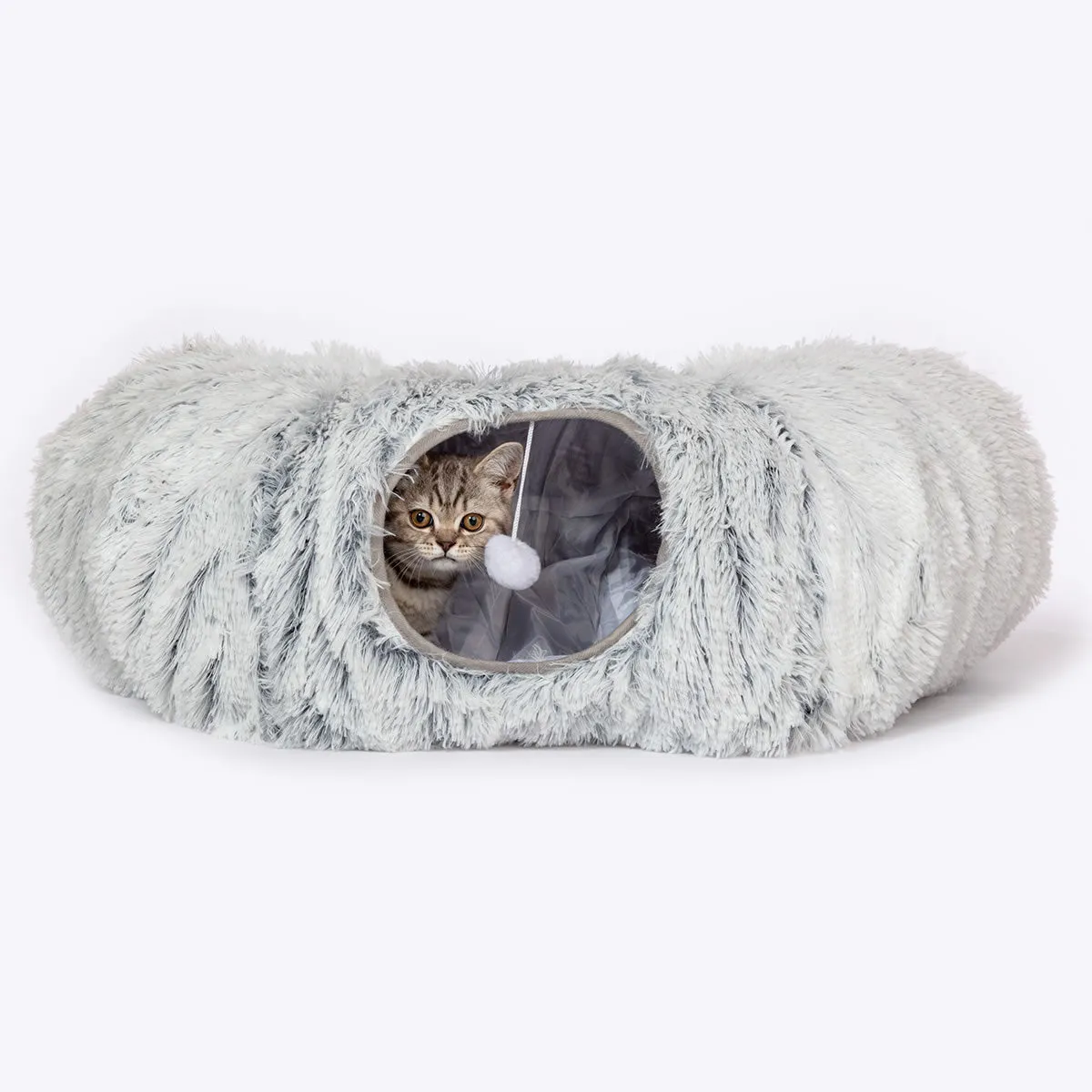 Cat Tunnel