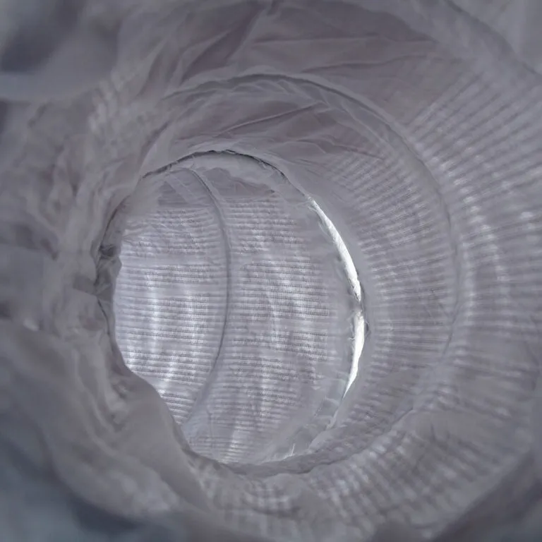 Cat Tunnel
