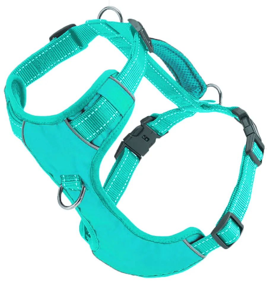 Chesapeake Bay Dog Harness Sea Foam Small