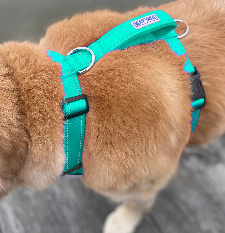Chesapeake Bay Dog Harness Sea Foam Small
