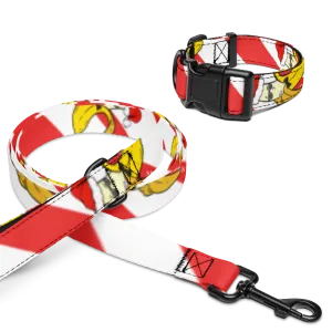 Dandy Cane Pet collar & leash