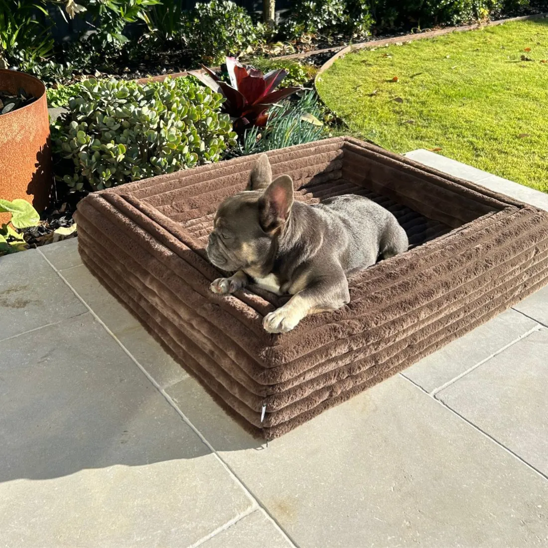Dazy Dog Orthopedic Memory Foam Dog Bed Puffer Truffle
