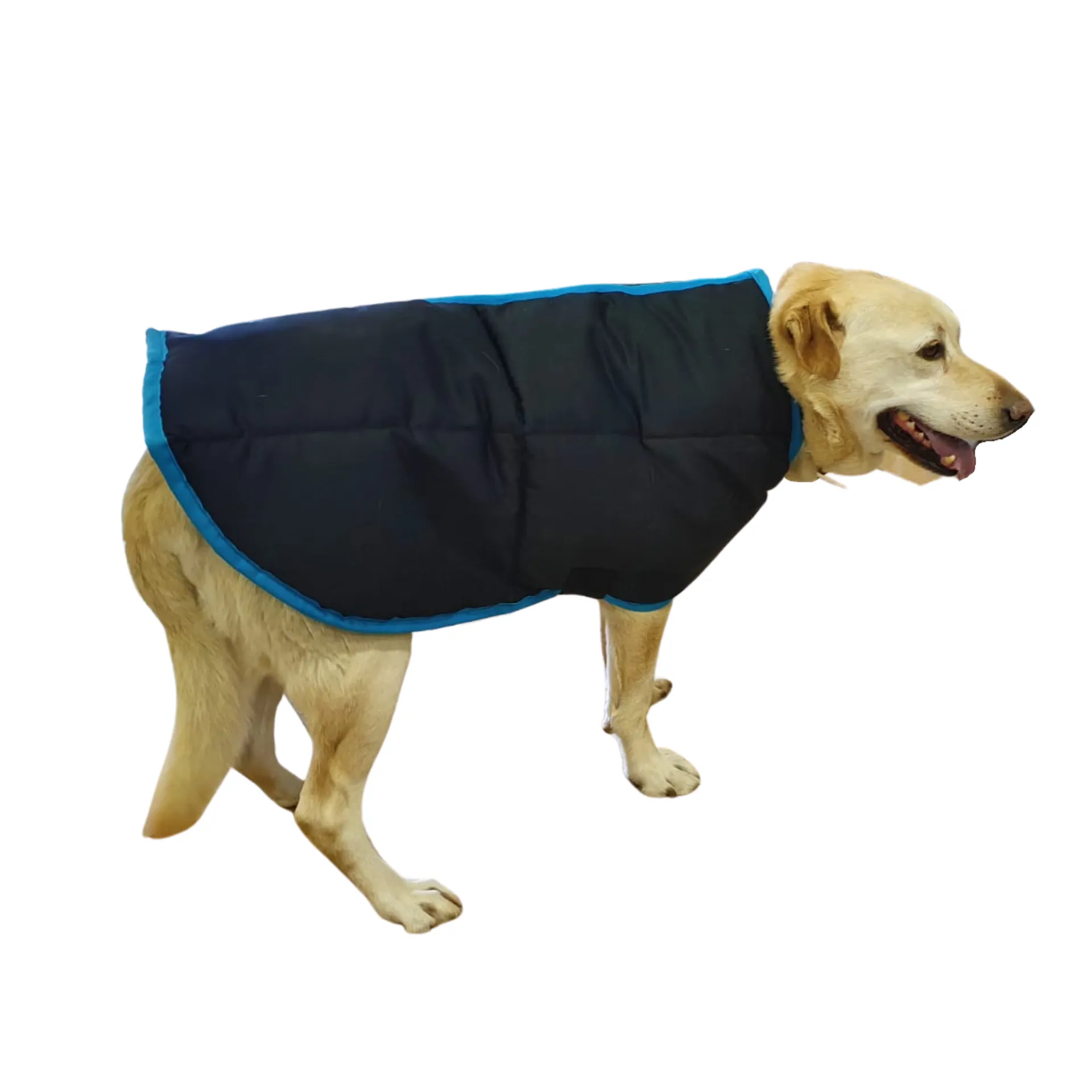 Dog Jacket Solo