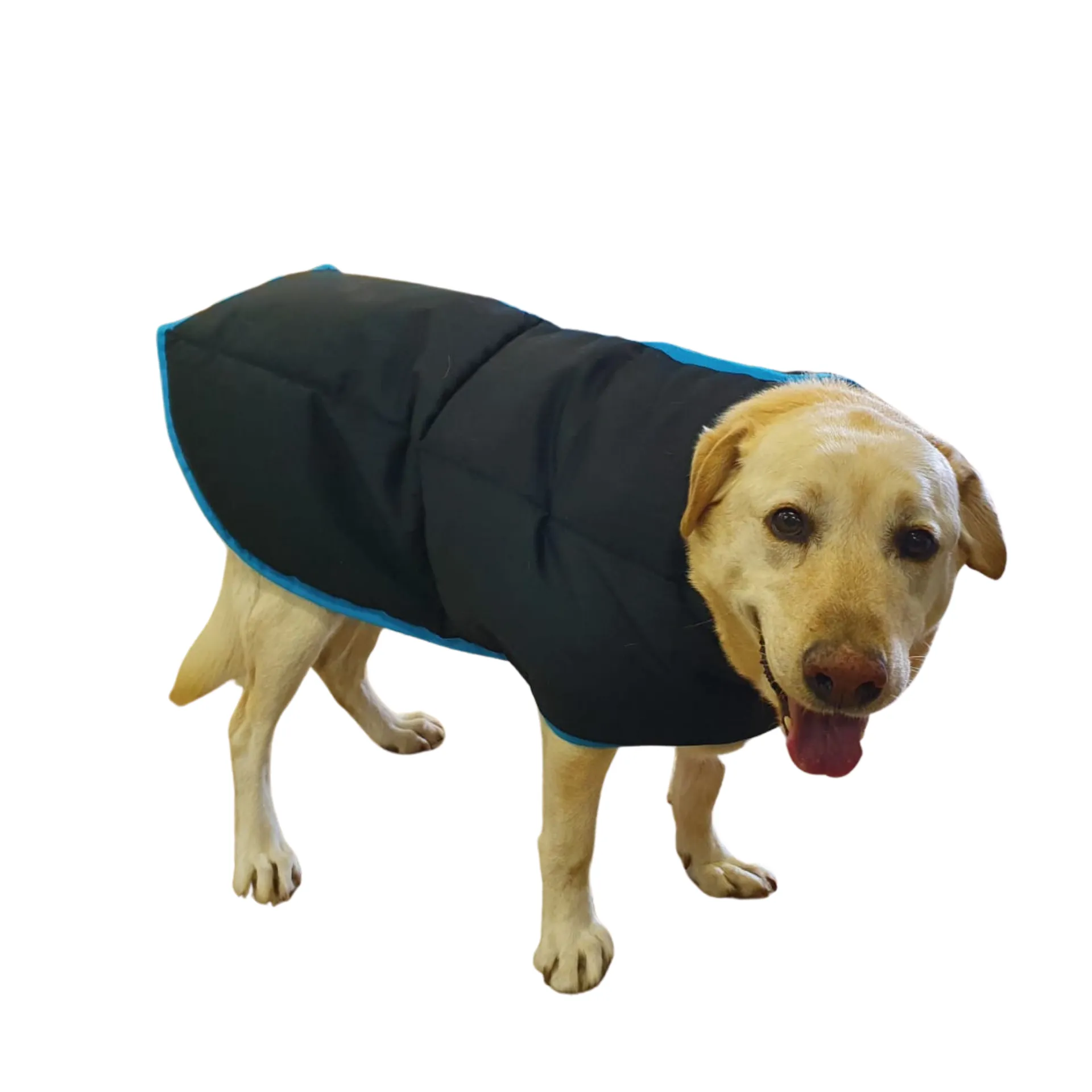 Dog Jacket Solo