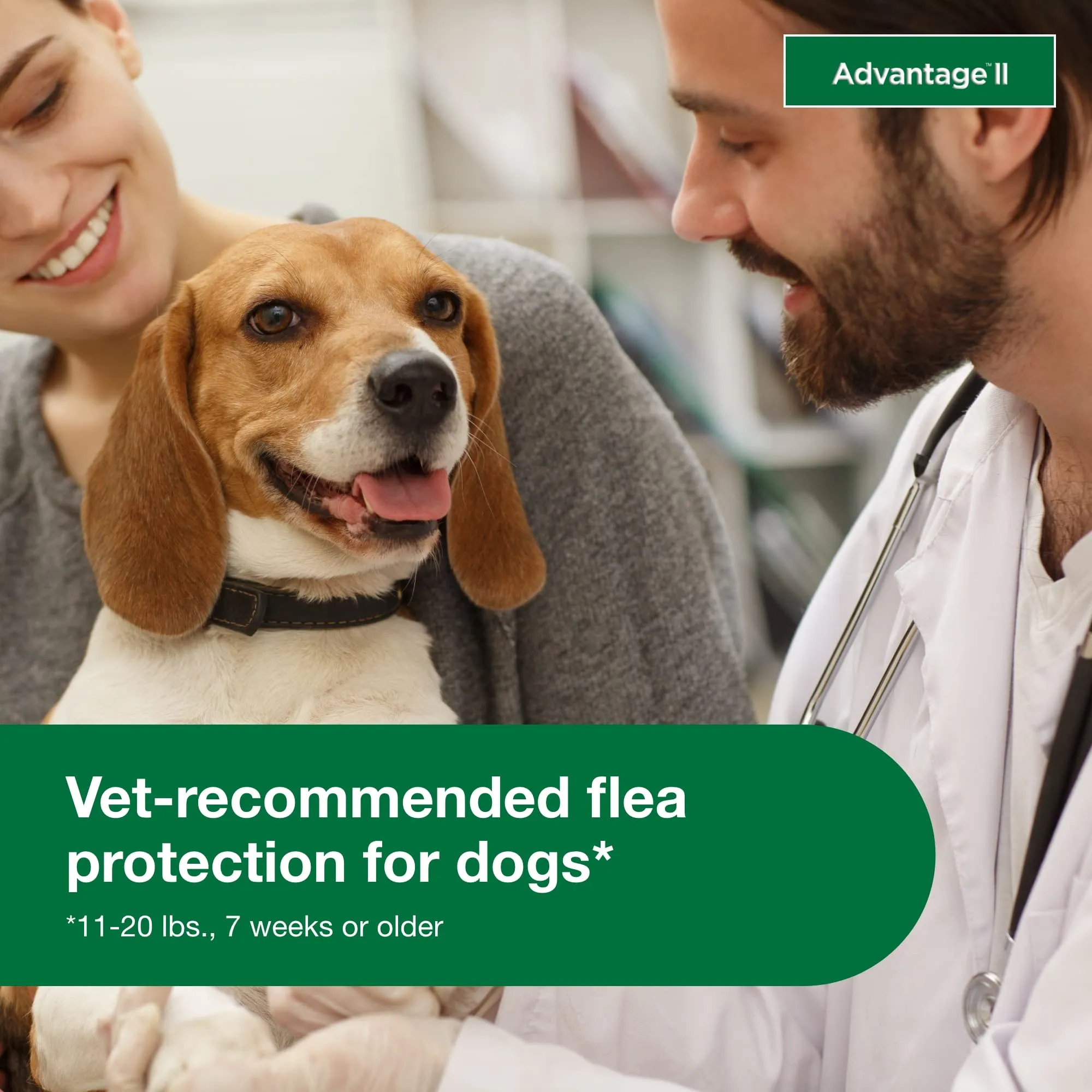 Elanco Advantage II Medium Dog 6-Month Dose Flea and Tick Spot-on Treatment - 11-20 Lbs - Teal - 6 Pack