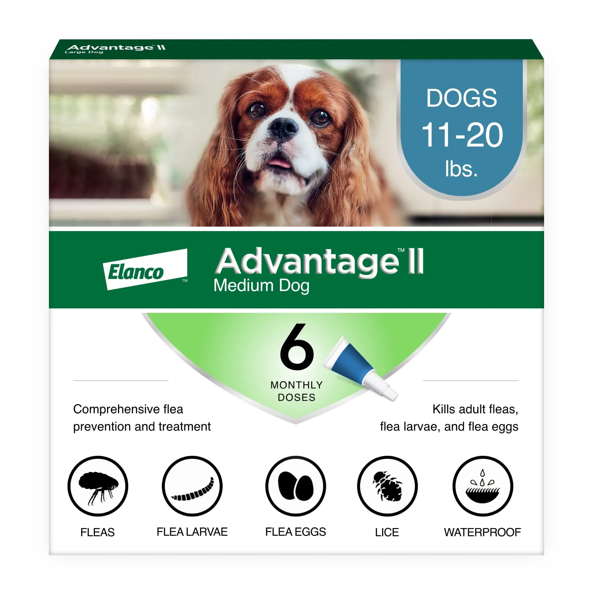 Elanco Advantage II Medium Dog 6-Month Dose Flea and Tick Spot-on Treatment - 11-20 Lbs - Teal - 6 Pack