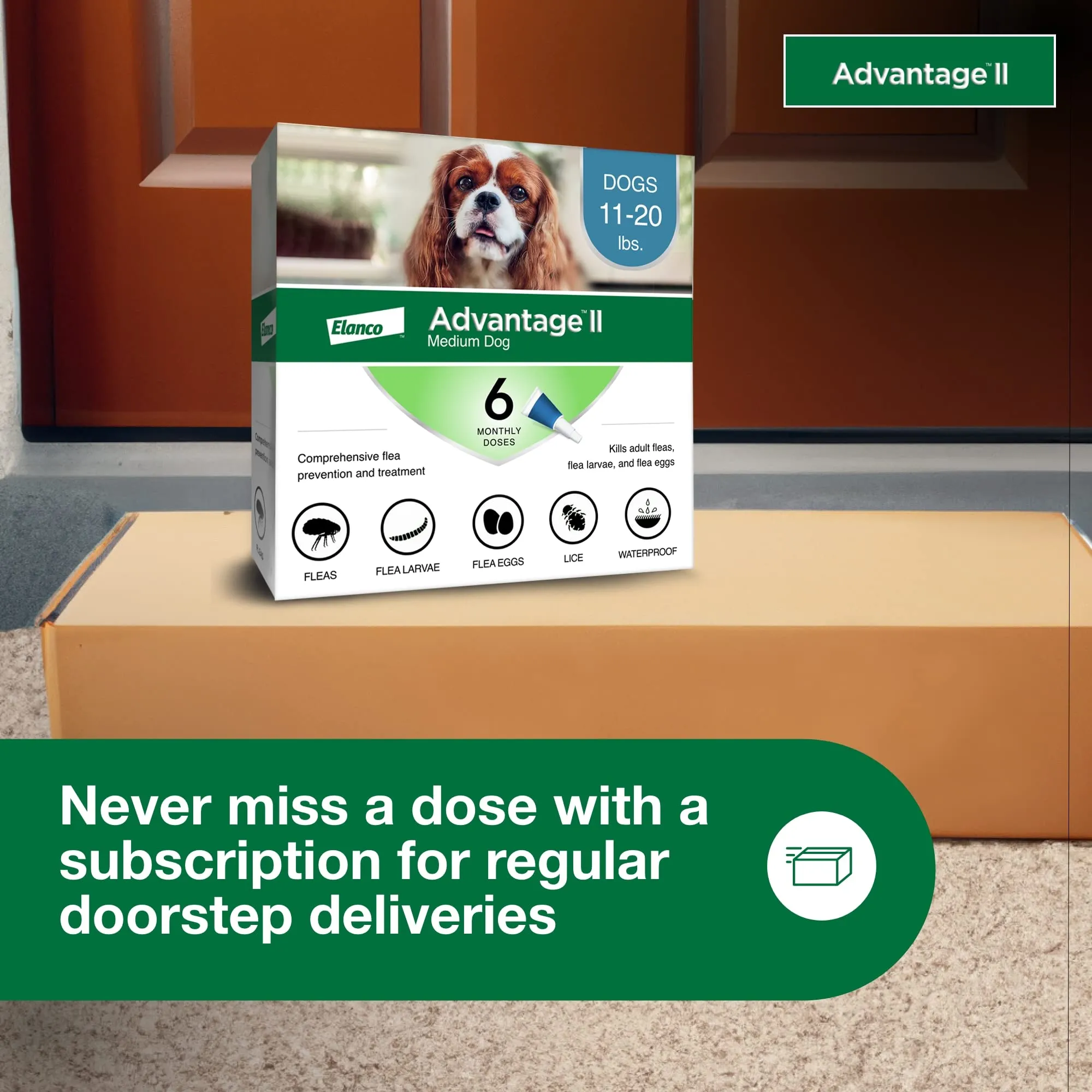 Elanco Advantage II Medium Dog 6-Month Dose Flea and Tick Spot-on Treatment - 11-20 Lbs - Teal - 6 Pack