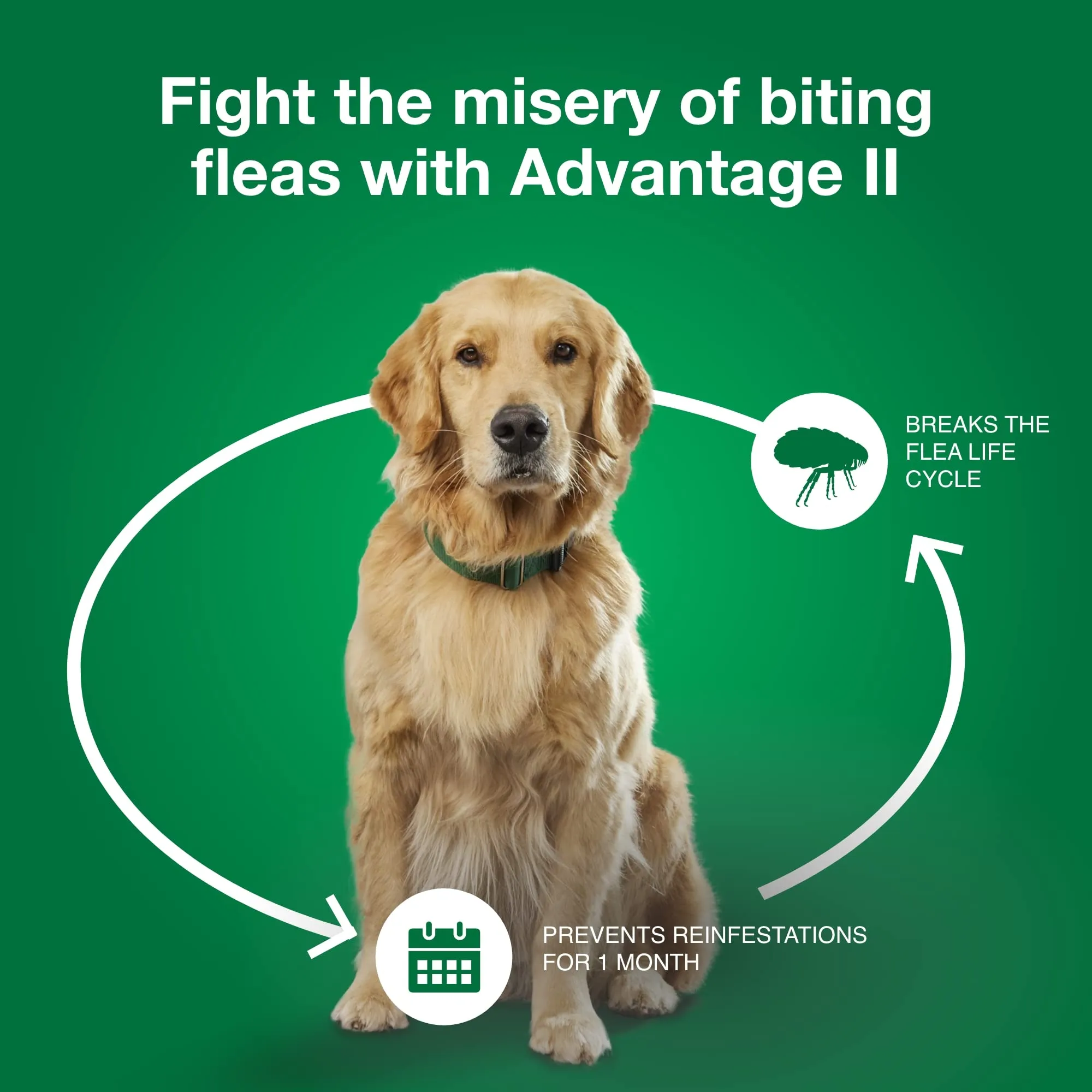 Elanco Advantage II Medium Dog 6-Month Dose Flea and Tick Spot-on Treatment - 11-20 Lbs - Teal - 6 Pack