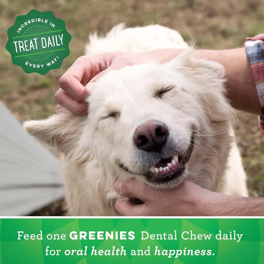 GREENIES Fresh Mint Petite Dental Treats, 20 count