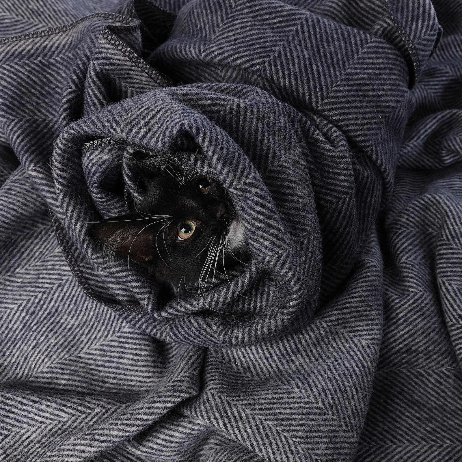 Herringbone Pet Blanket Navy