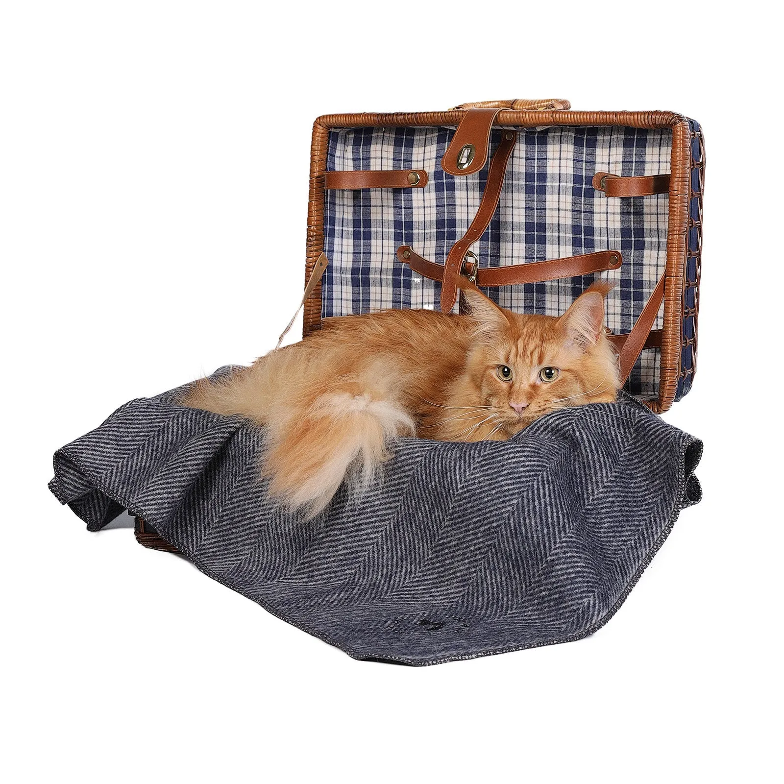 Herringbone Pet Blanket Navy