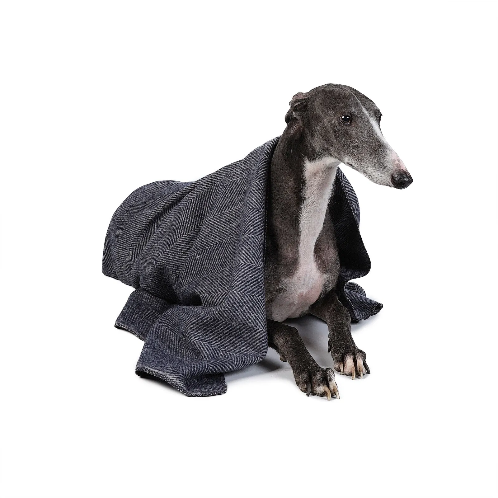 Herringbone Pet Blanket Navy
