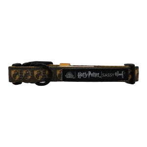 Hufflepuff Pet Collar - Sassy Woof