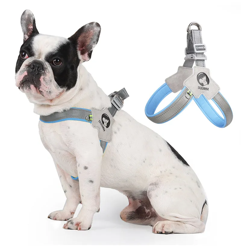 LightLatch No pull Frenchie Reflective Harness