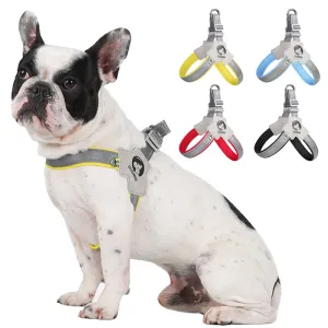 LightLatch No pull Frenchie Reflective Harness