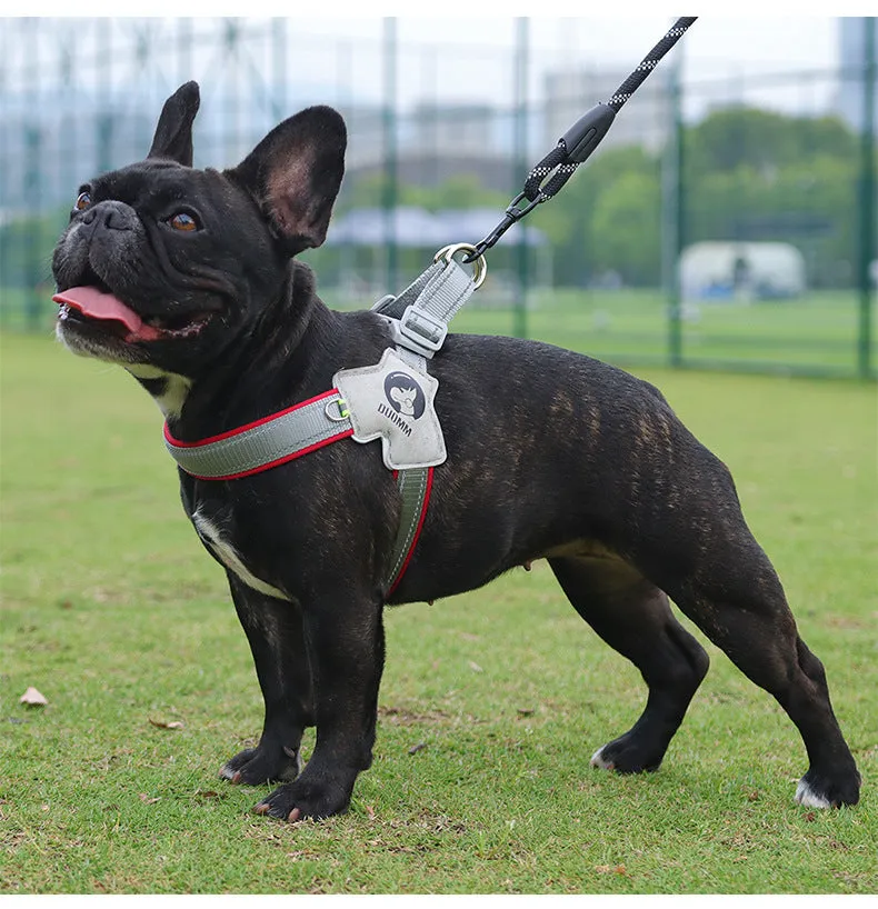 LightLatch No pull Frenchie Reflective Harness