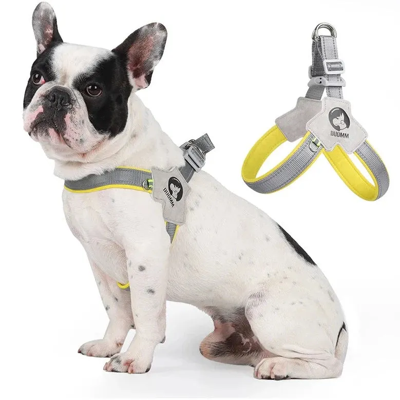 LightLatch No pull Frenchie Reflective Harness