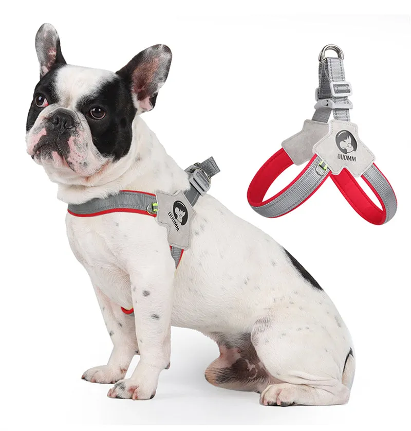 LightLatch No pull Frenchie Reflective Harness