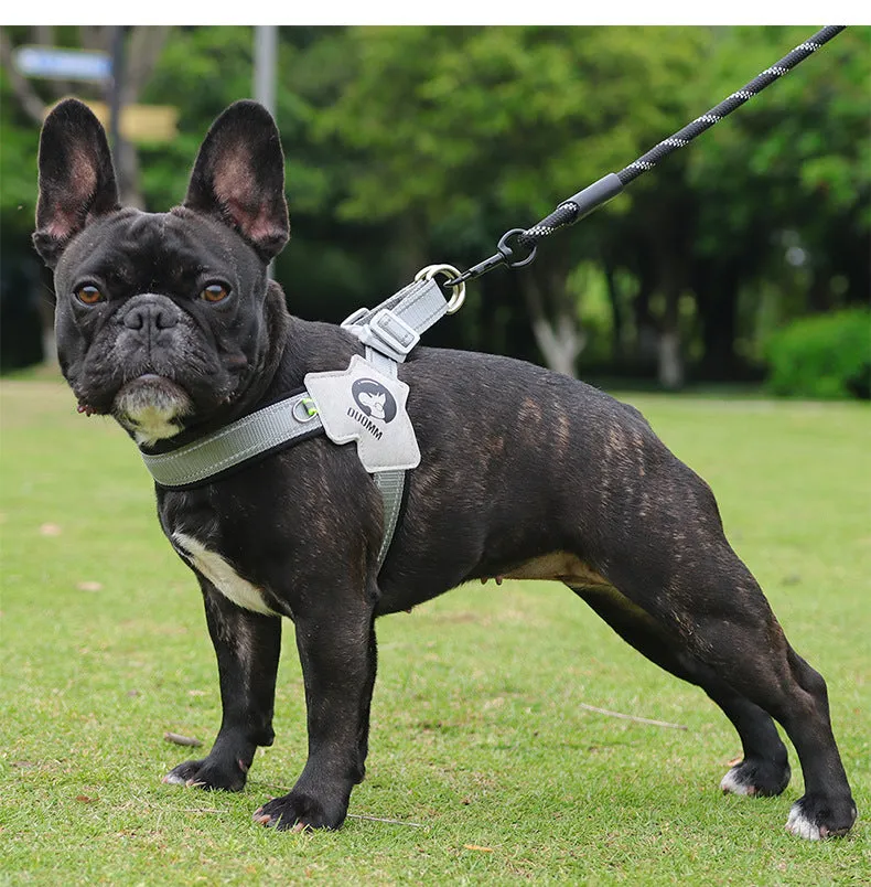LightLatch No pull Frenchie Reflective Harness