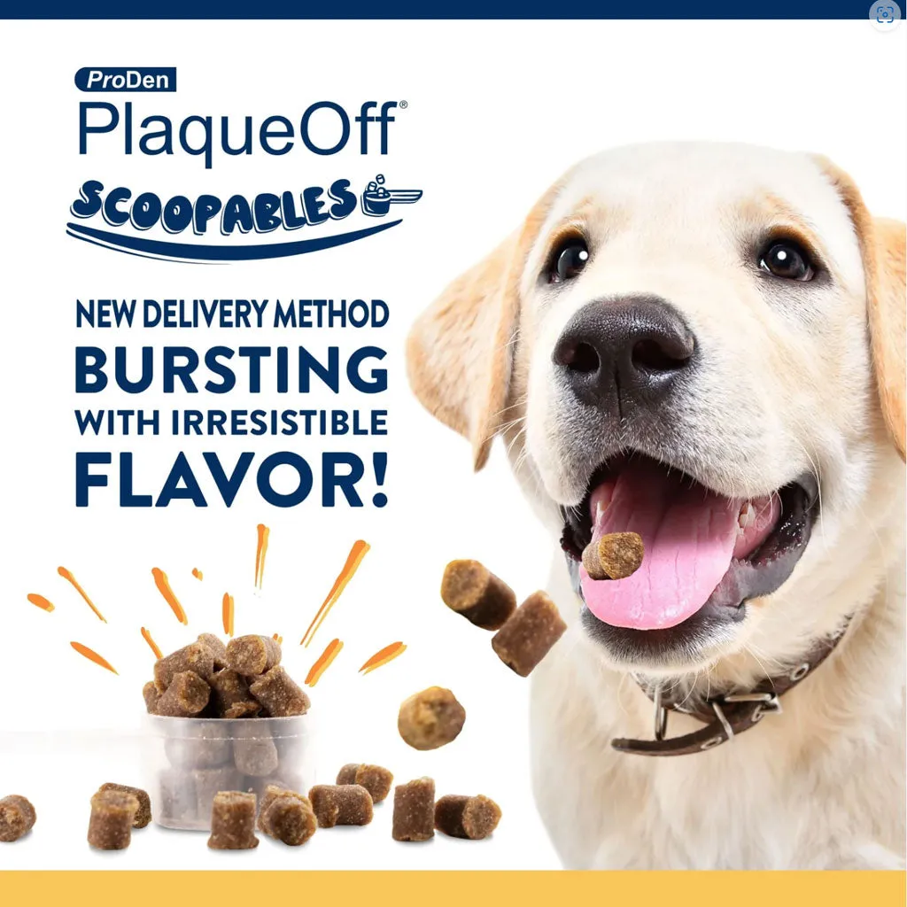 NaturVet ProDen PlaqueOff Scoopables Dental Treat for Large & Giant Breed, 45 scoops