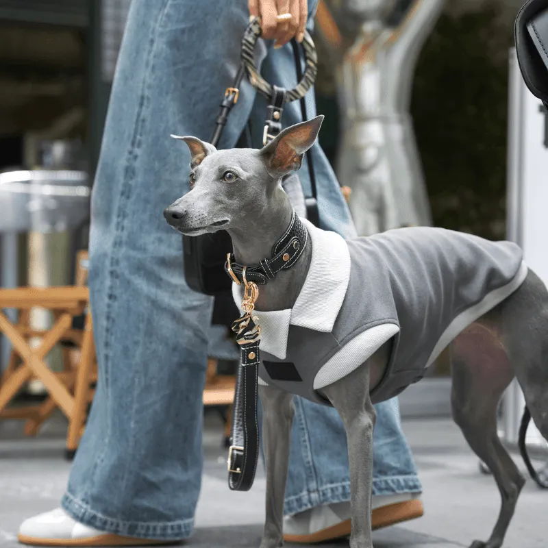 Obsidian Leather Dog Leash