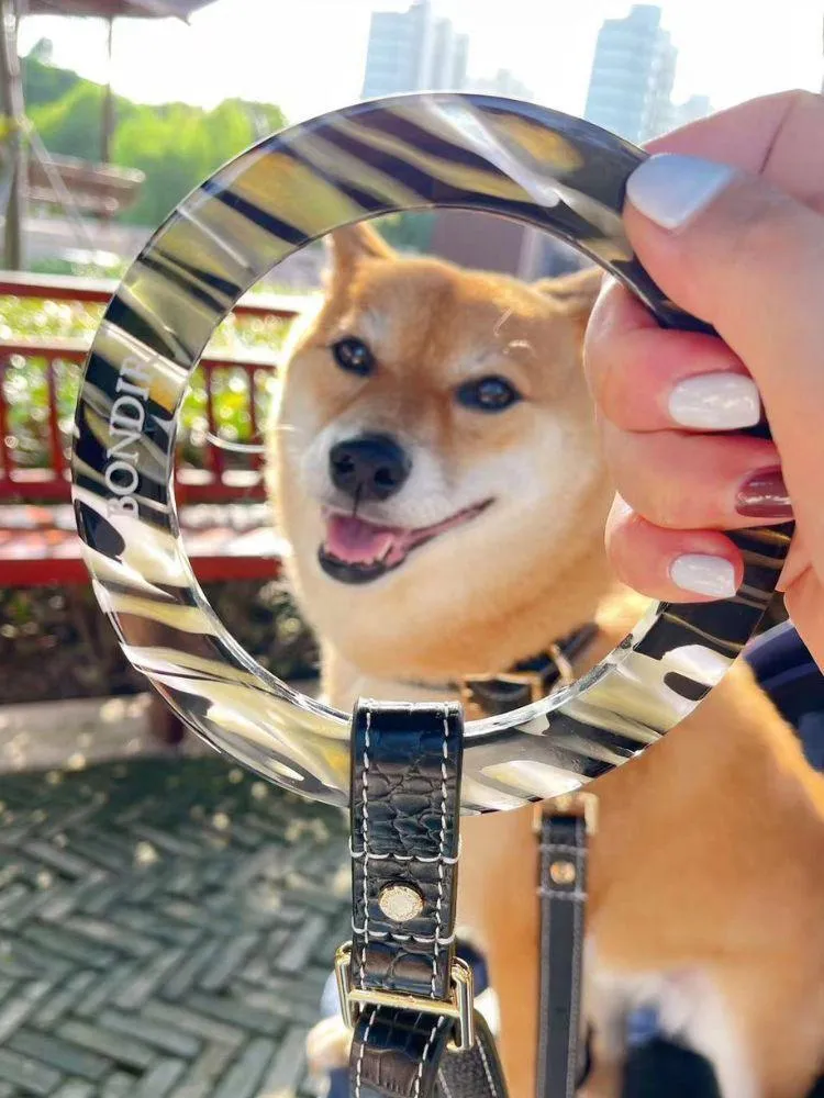 Obsidian Leather Dog Leash
