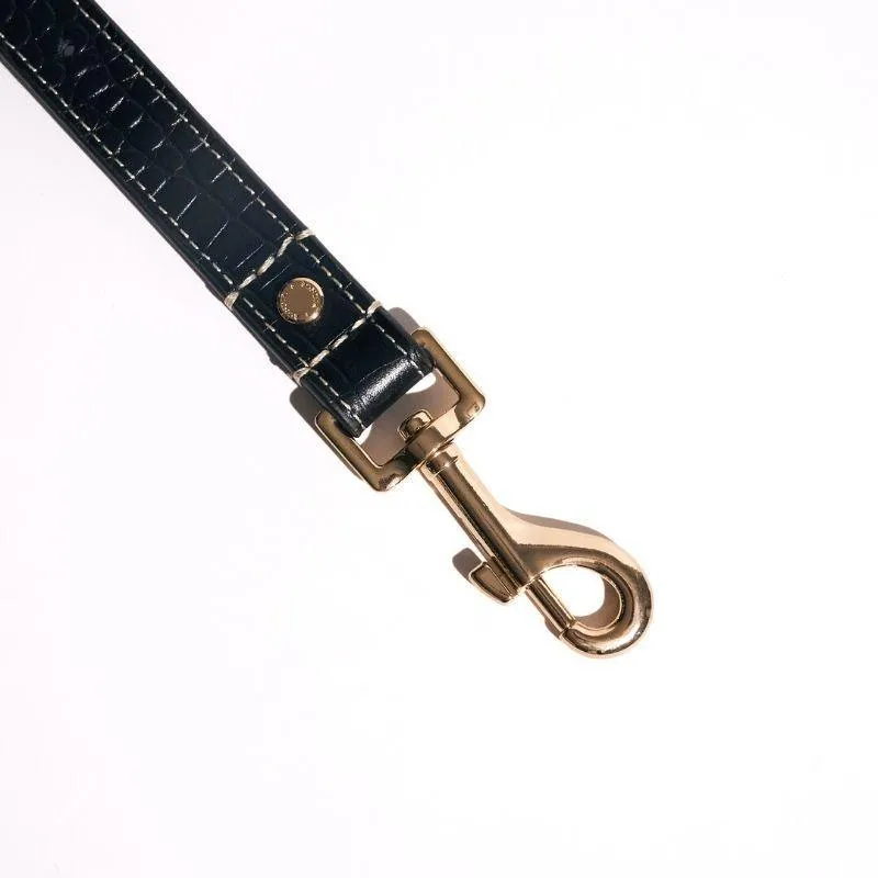Obsidian Leather Dog Leash