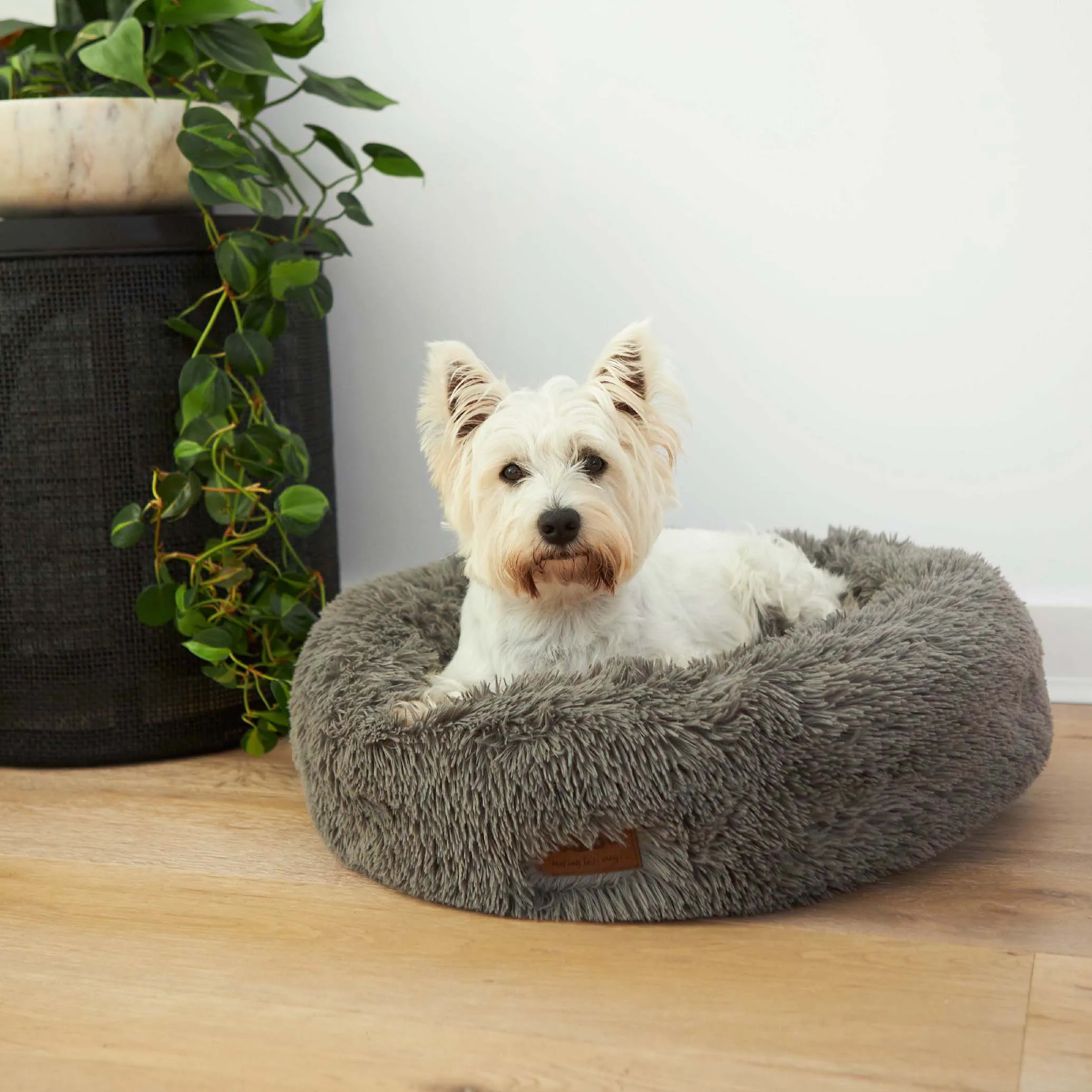 Peacock Dog Bed - Mud