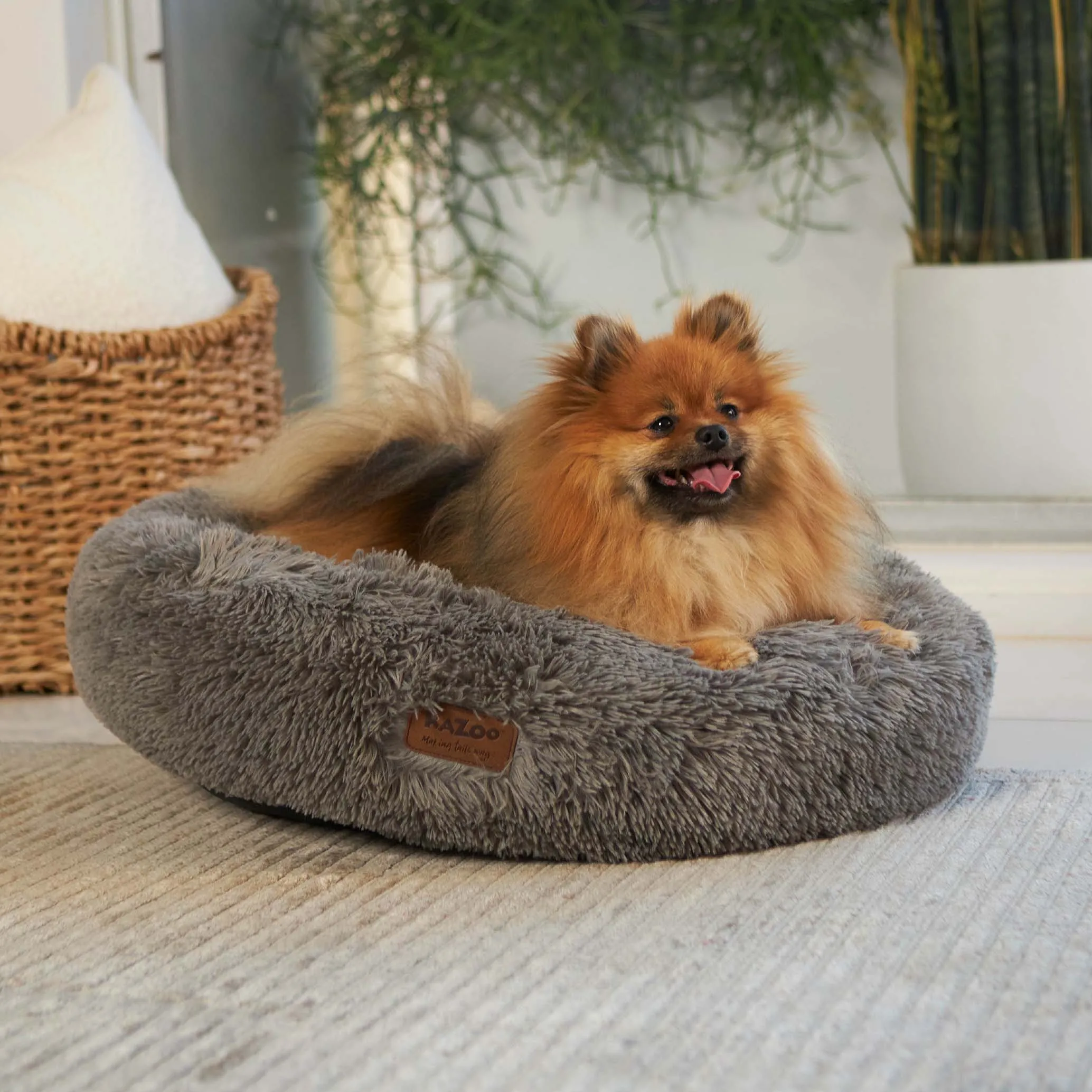Peacock Dog Bed - Mud