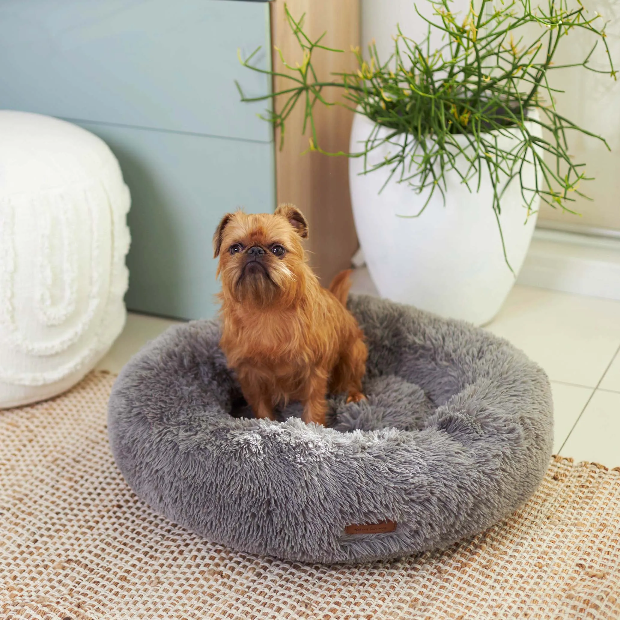 Peacock Dog Bed - Mud