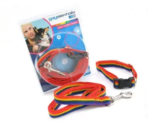 Pet Collar and Leash Set