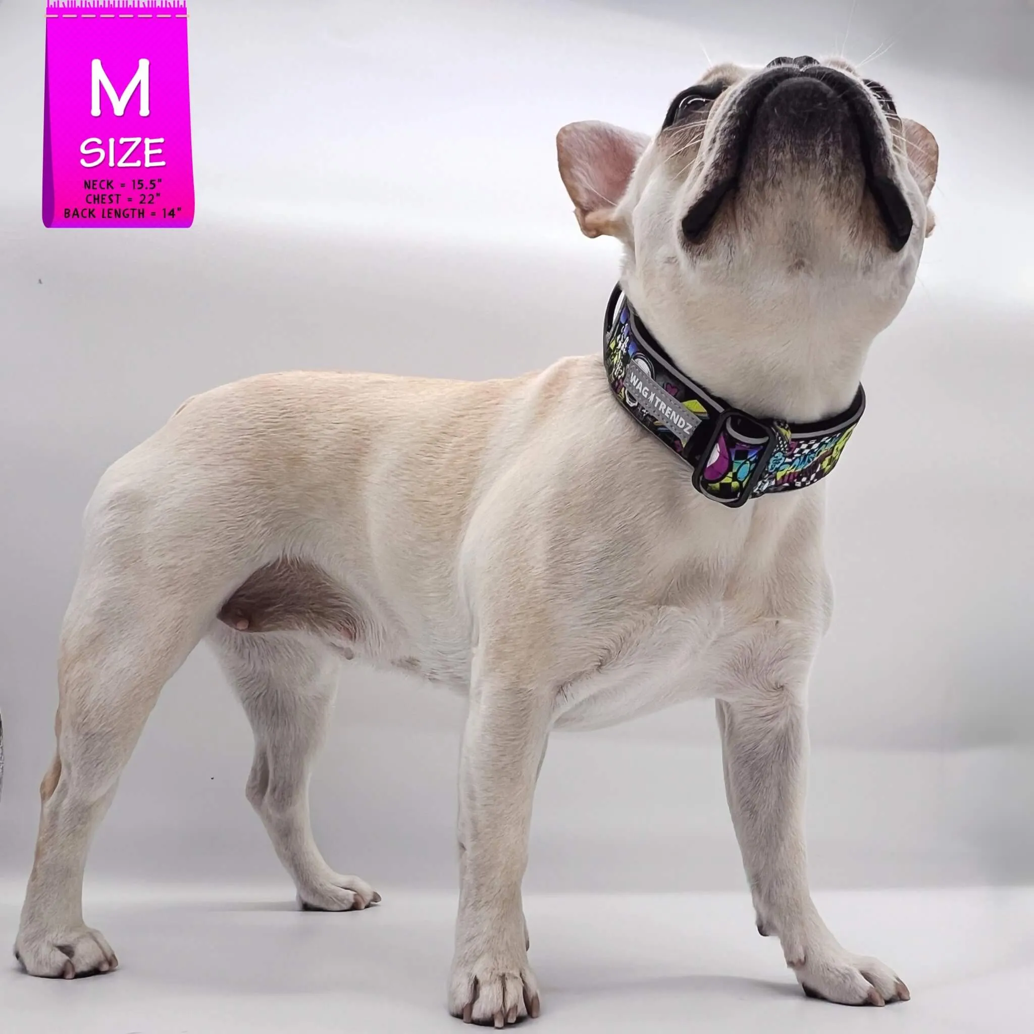 Reflective Dog Collar - Skull Society
