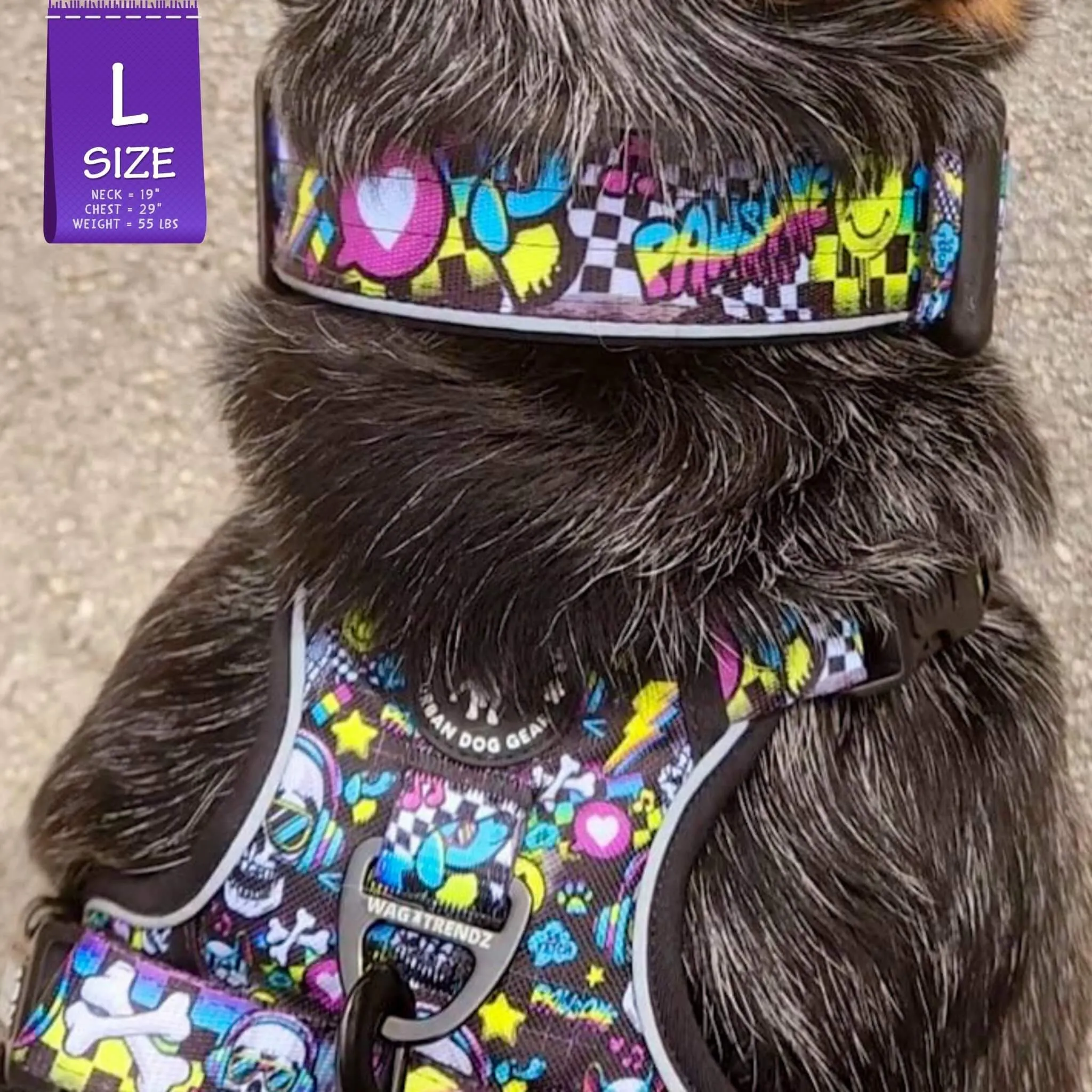 Reflective Dog Collar - Skull Society
