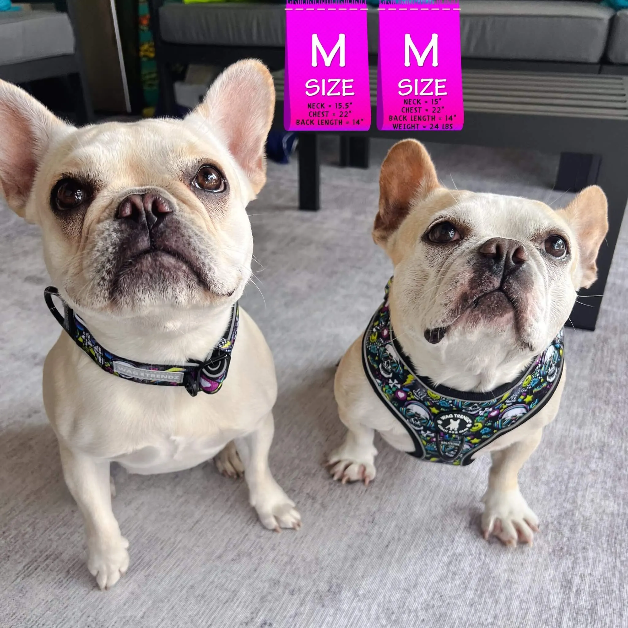 Reflective Dog Collar - Skull Society
