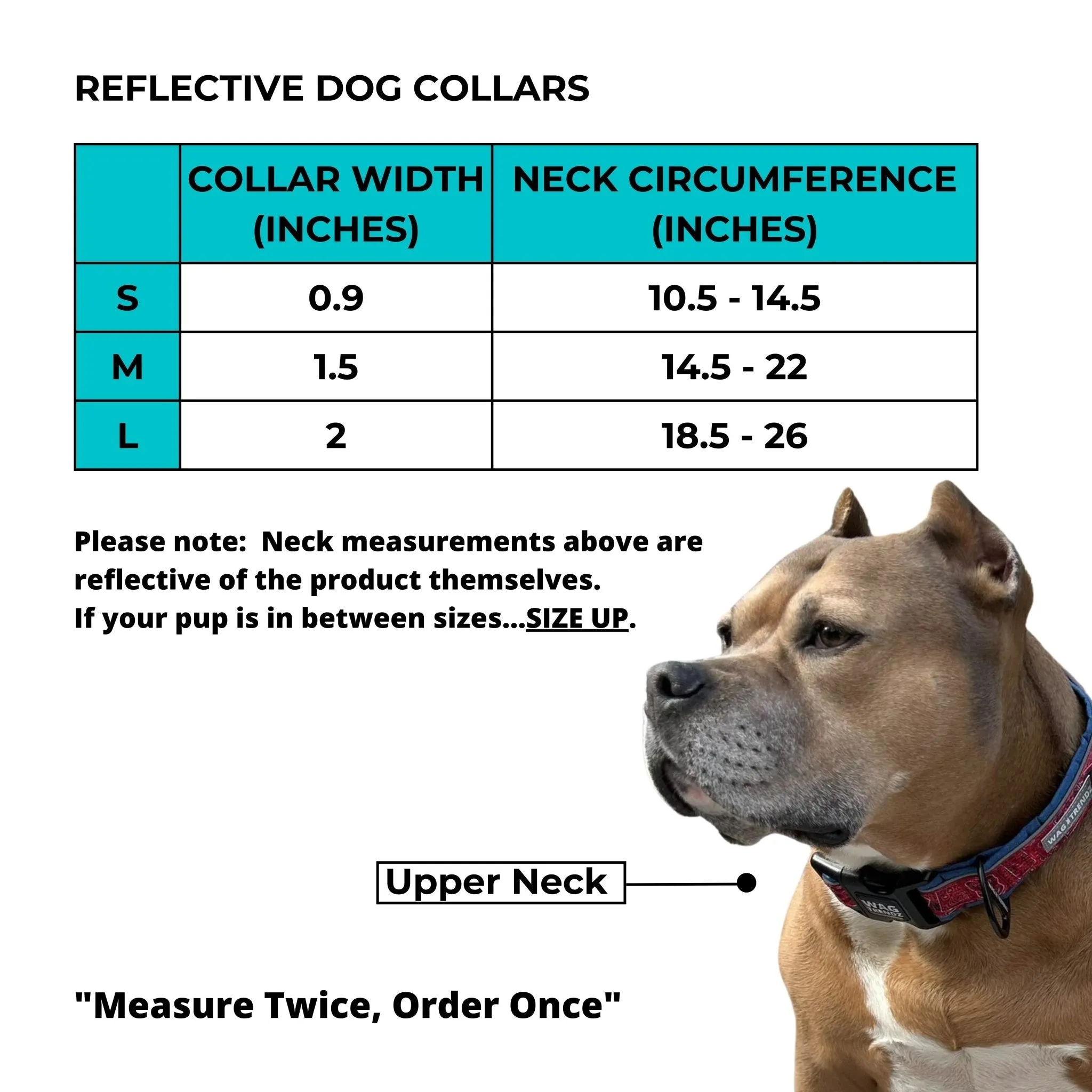 Reflective Dog Collar - Skull Society