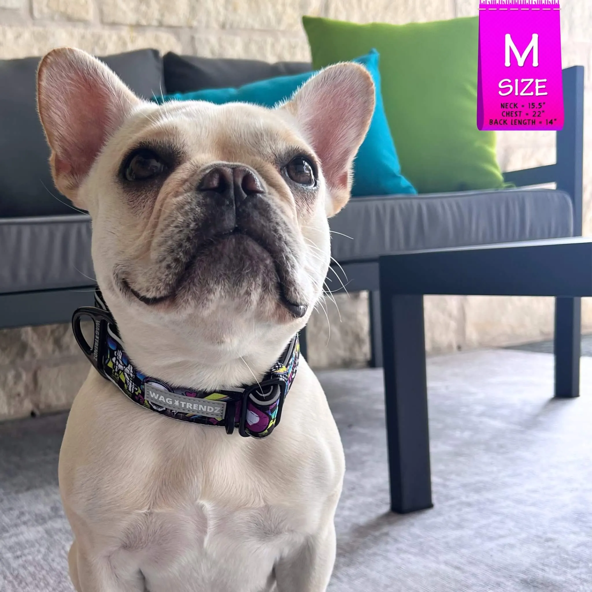 Reflective Dog Collar - Skull Society