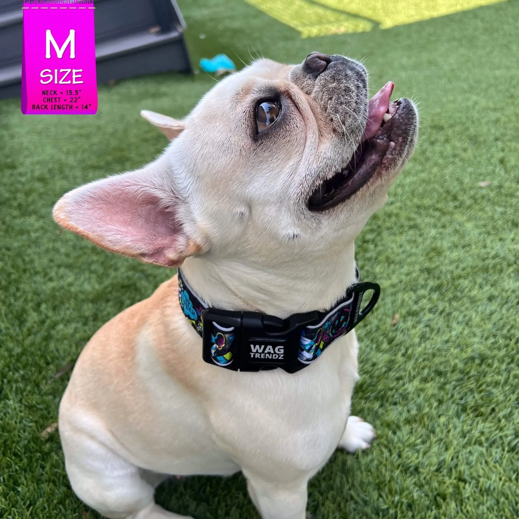 Reflective Dog Collar - Skull Society