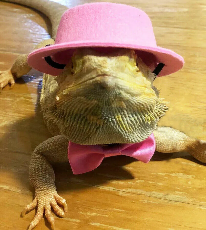 Reptile Sun Hat with Matching Tie