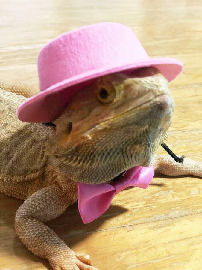 Reptile Sun Hat with Matching Tie
