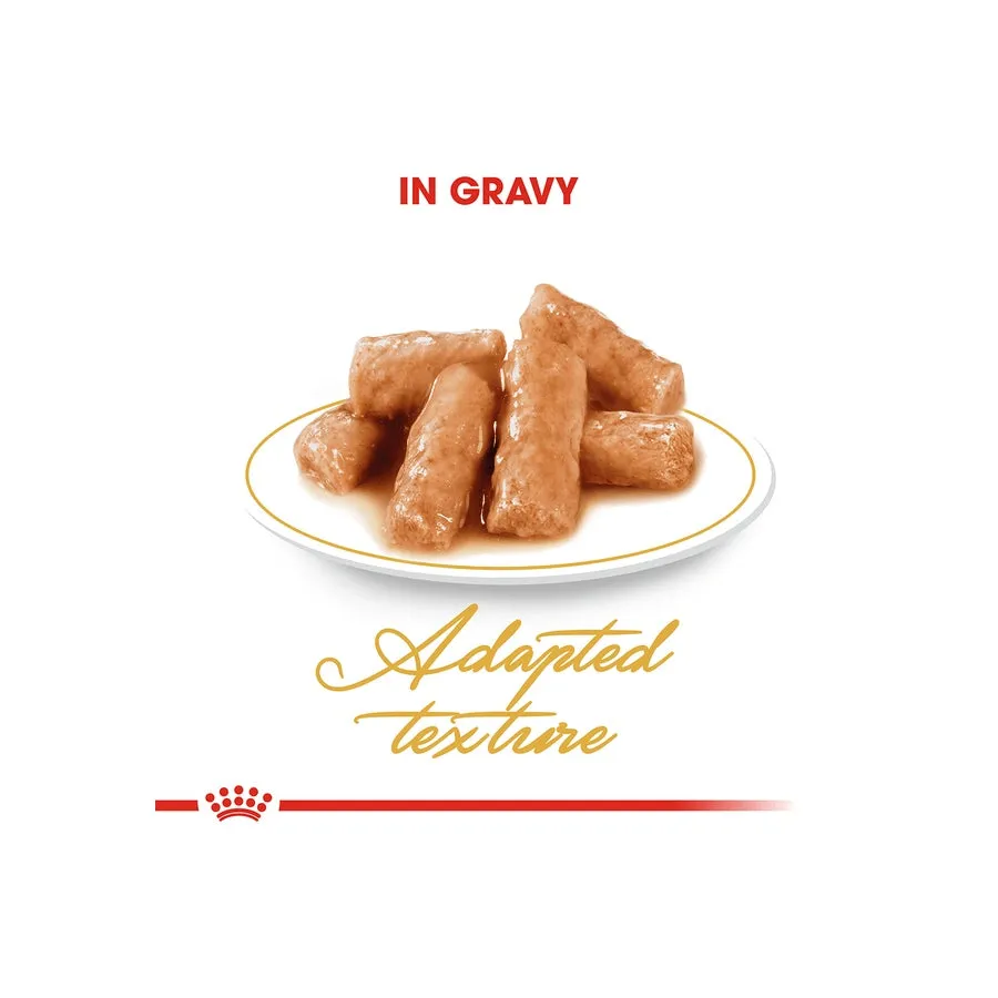 Royal Canin British Shorthair Gravy Adult Wet Cat Food 12 X 85g
