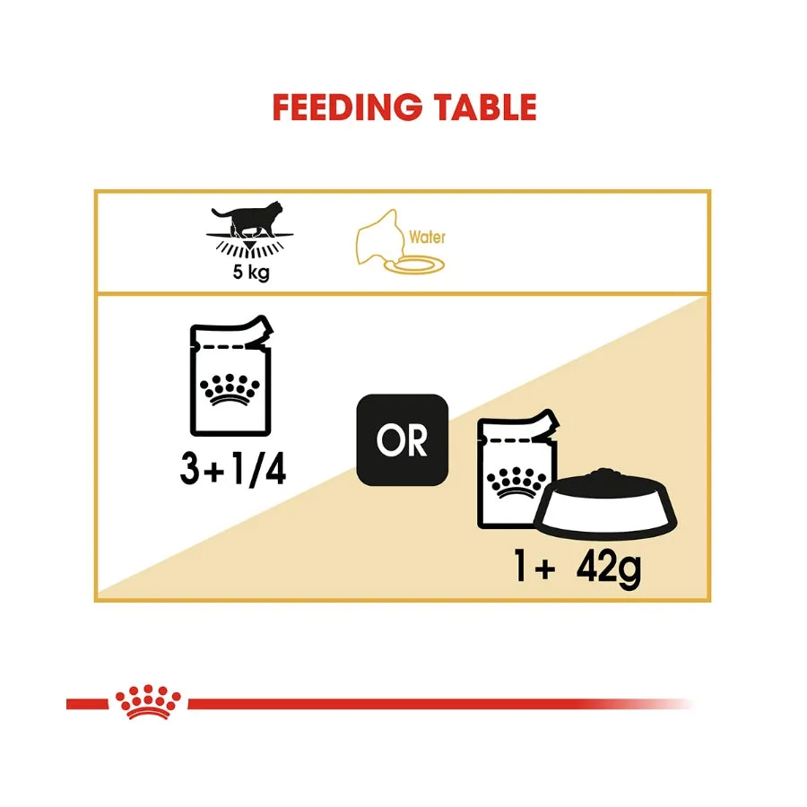 Royal Canin British Shorthair Gravy Adult Wet Cat Food 12 X 85g