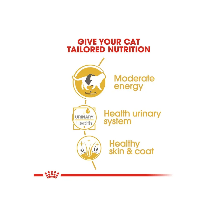 Royal Canin British Shorthair Gravy Adult Wet Cat Food 12 X 85g